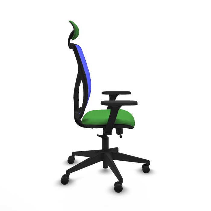 PIQUERAS Y CRESPO Silla de oficina Motilla con mecanismo Sincro/Traslack, Tela Verde y Malla Azul PIQUERAS Y CRESPO Silla de oficina Motilla con mecanismo Sincro/Traslack, Tela Verde y Malla Azul