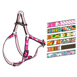 Ferplast Arnés Fantasia P XS para Perro, Ajustable 33-46,5 cm, 10 mm