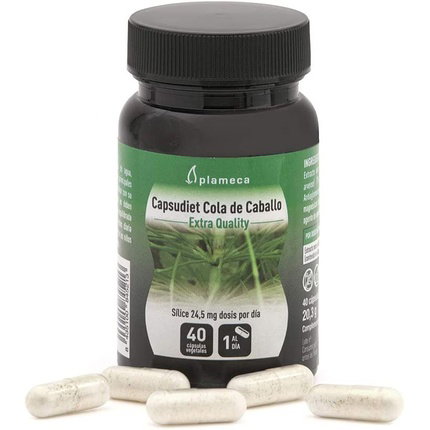 PLAMECA Capsudiet Cola de Caballo 40 cápsulas vegetales