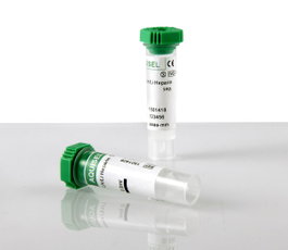 AQUISEL Tubos con Heparina de Litio Verde 1 ml 12x55 100U