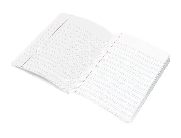 Liderpapel Scriptus A5 Plus 48 hojas 90gr pauta 4ª 3.5mm con margen