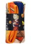 Battle of gods goku states (db super) manta polar 100x150 cm dragon ball