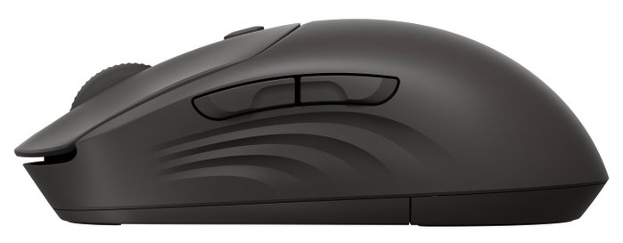 HP 400 Quiet Ratón Inalámbrico Óptico Negro 6000 DPI Bluetooth 2.4 GHz
