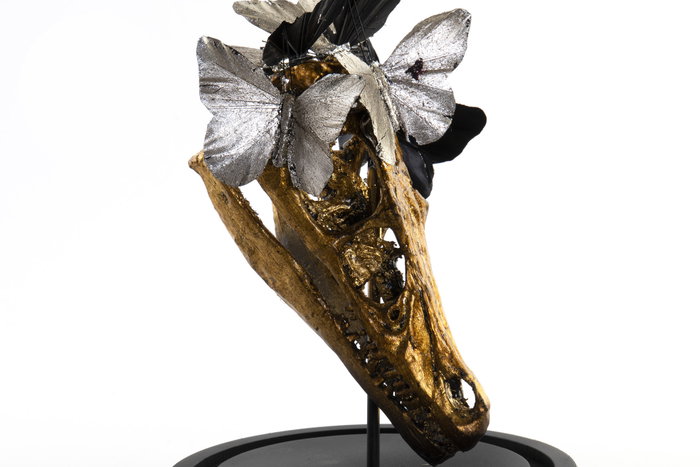 DKD Home Decor Figura Resina Cristal Cráneo Dorado y Mariposas DKD Home Decor Figura Resina Cristal Cráneo Dorado y Mariposas