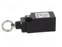 PIZZATO ELETTRICA FR576 Interruptor de fin de carrera con anillo, NO + NC
