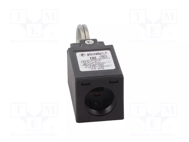 PIZZATO ELETTRICA FR576 Interruptor de fin de carrera con anillo, NO + NC