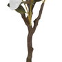 Ixia Árbol Magnolia Blanco PVC Jardín 170 cm