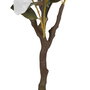 Árbol Magnolia Blanco Pvc Jardín 170 cm