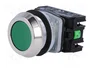 PROMET Interruptor de presión NEF30 verde NC + NA