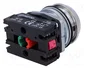 PROMET Interruptor de presión NEF30 verde NC + NA