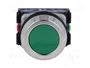 PROMET Interruptor de presión NEF30 verde NC + NA