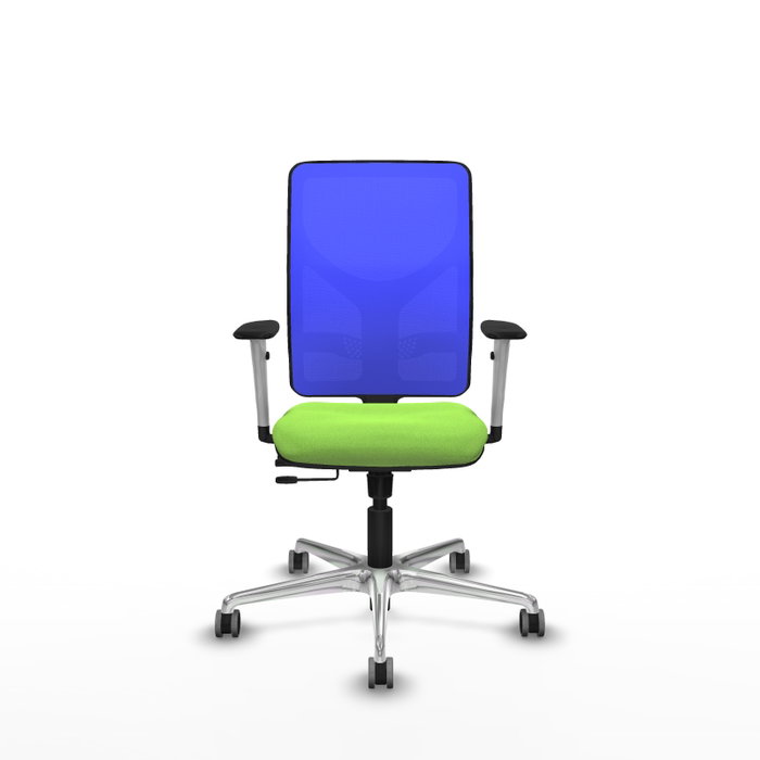 PIQUERAS Y CRESPO Silla de oficina Motilla con mecanismo Sincro/Traslack, Azul y Pistacho PIQUERAS Y CRESPO Silla de oficina Motilla con mecanismo Sincro/Traslack, Azul y Pistacho