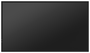 Hisense Digital Signage Display 32 Pulgadas Full HD Android 11 Negro