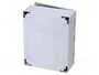 ELEKTRO-PLAST NASIELSK INDUSTRIAL SR Carcasa de pared Gris