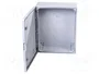 ELEKTRO-PLAST NASIELSK INDUSTRIAL SR Carcasa de pared Gris
