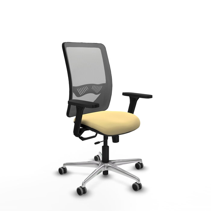 PIQUERAS Y CRESPO Silla de oficina Zulema con mecanismo Sincro/Traslack, Crema y Gris PIQUERAS Y CRESPO Silla de oficina Zulema con mecanismo Sincro/Traslack, Crema y Gris