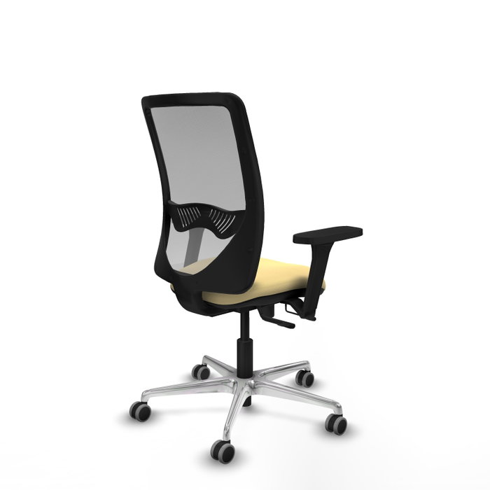 PIQUERAS Y CRESPO Silla de oficina Zulema con mecanismo Sincro/Traslack, Crema y Gris PIQUERAS Y CRESPO Silla de oficina Zulema con mecanismo Sincro/Traslack, Crema y Gris