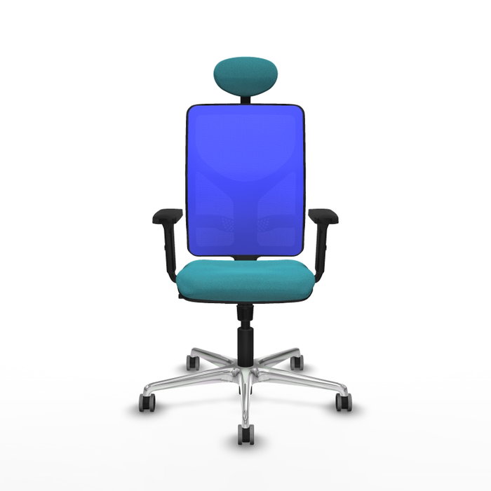 PIQUERAS Y CRESPO Silla de oficina Motilla con mecanismo Sincro, Turquesa y Azul PIQUERAS Y CRESPO Silla de oficina Motilla con mecanismo Sincro, Turquesa y Azul