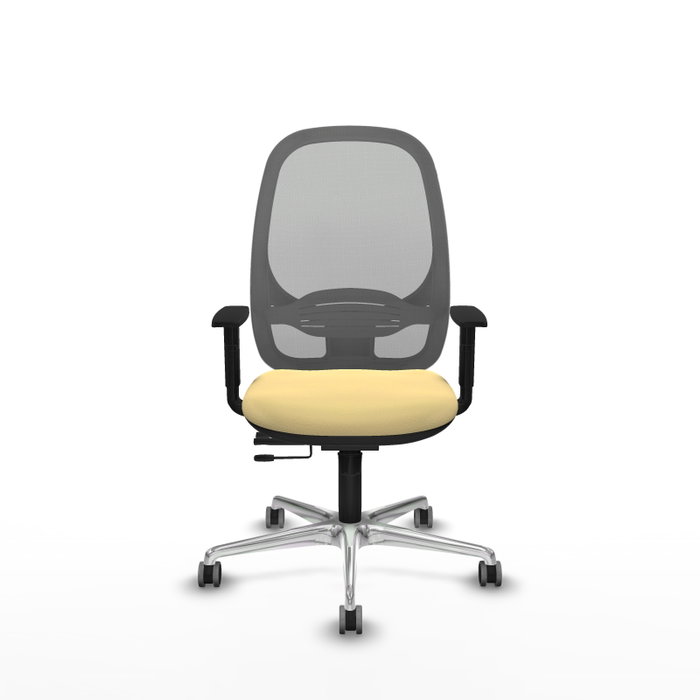 PIQUERAS Y CRESPO Silla de oficina Cilanco Crema y Gris PIQUERAS Y CRESPO Silla de oficina Cilanco Crema y Gris