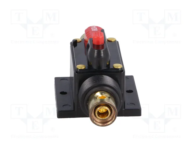 4CARMEDIA Fusible Automático de Coche 80A Retardado