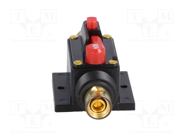 4CARMEDIA Fusible Automático de Coche 80A Retardado