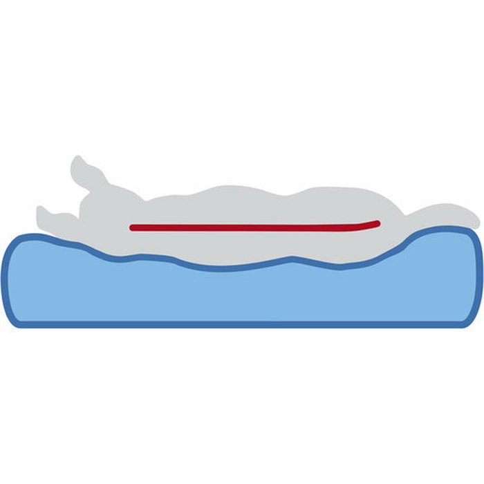 Colchón Trixie Vital Noah Gris claro 90 × 65 CM Colchón Trixie Vital Noah Gris claro 90 × 65 CM