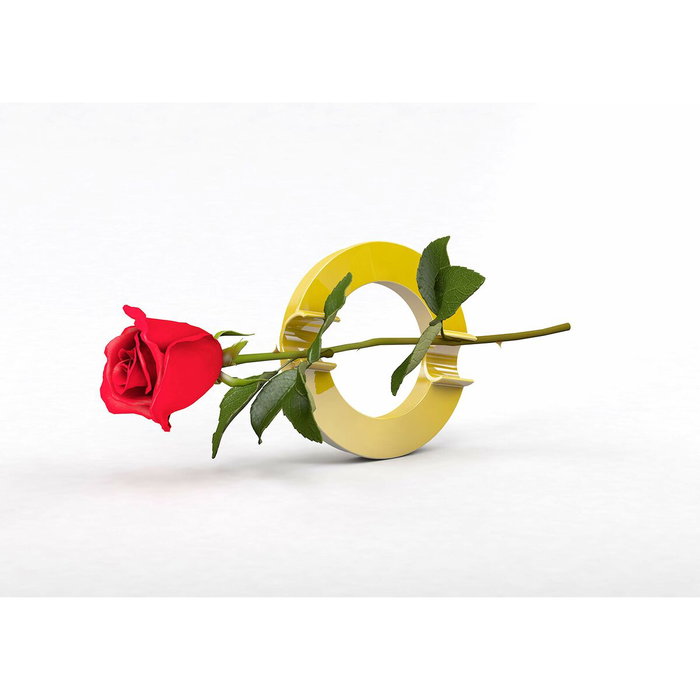 Novus MEGA Magnet Circle XL Amarillo Ø8cm con Enganche