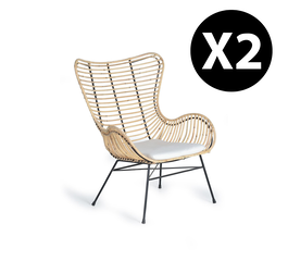 Giner y Colomer - Lote de 2 Sillas de Ratán y Metal, Asiento 50x50 cm, Natural