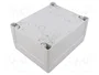 FIBOX TEMPO Carcasa Universal Gris