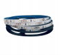 ORNO Tira LED 12V 2835 6000K 5m IP20 LD-9/5M/6