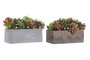 DKD Home Decor Planta Gris Marron 11 x 14.5 x 23.5 cm (4 Unidades)