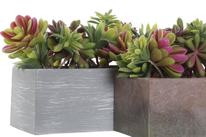 DKD Home Decor Planta Gris Marron 11 x 14.5 x 23.5 cm (4 Unidades)