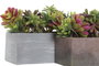 DKD Home Decor Planta Gris Marron 11 x 14.5 x 23.5 cm (4 Unidades)