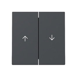GIRA 329428 Wippe 2f Pfeil System 55 Placa Frontal Mate Antracita