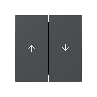 GIRA 329428 Wippe 2f Pfeil System 55 Placa Frontal Mate Antracita GIRA 329428 Wippe 2f Pfeil System 55 Placa Frontal Mate Antracita