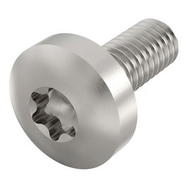 SCHROFF Tornillo de cabeza plana con Torx M4x10 (100 unidades)