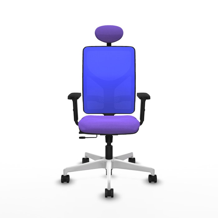 PIQUERAS Y CRESPO Silla de oficina Motilla con mecanismo Sincro/Traslack, Lila y Azul PIQUERAS Y CRESPO Silla de oficina Motilla con mecanismo Sincro/Traslack, Lila y Azul