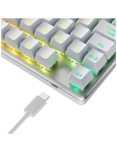 Newskill Teclado Gaming Serike TKL V2 Mecánico, Switches Intercambiables Hot-Swap, RGB, 88 Teclas Español, Blanco