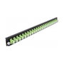 DeLOCK Spleissbox Panel Frontal 24 puertos LC Duplex verde lima de 19 pulgadas, Fibra, Montaje en rack 1U, 44 mm, referencia LWL