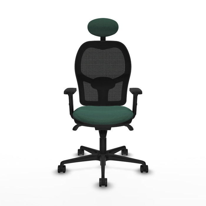 PIQUERAS Y CRESPO Silla de oficina Jorquera con mecanismo Sincro, Verde botella y Negro PIQUERAS Y CRESPO Silla de oficina Jorquera con mecanismo Sincro, Verde botella y Negro