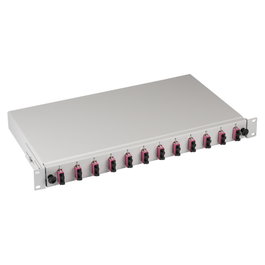 EFB Elektronik Spleibox gris extraíble OM4 con 24 pigtails y 12 acopladores dúplex