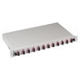 EFB Elektronik BA71203L24OM4 Panel de parcheo de fibra óptica OM4 con 24 pigtails y 12 acopladores dúplex SC