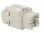 WIELAND Conector HDC Hembra Tamaño 3 de 5 Pines