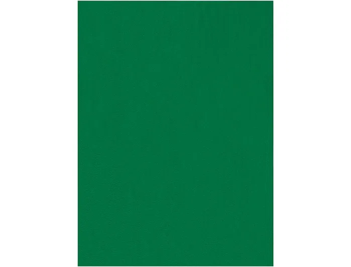 Liderpapel Fieltro Verde 50x70cm 160g/m2 (Pack de 10) Liderpapel Fieltro Verde 50x70cm 160g/m2 (Pack de 10)