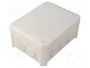OBO BETTERMANN Caja de conexiones T 100 RW blanca