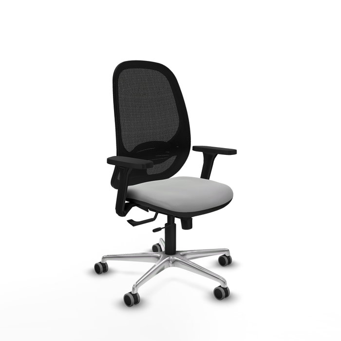 PIQUERAS Y CRESPO Silla de oficina Cilanco Gris claro y Negro PIQUERAS Y CRESPO Silla de oficina Cilanco Gris claro y Negro