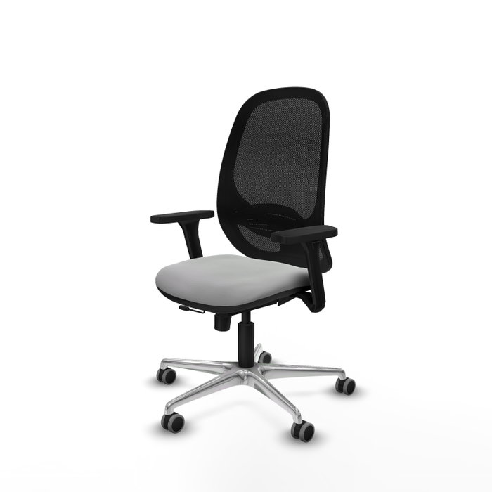 PIQUERAS Y CRESPO Silla de oficina Cilanco Gris claro y Negro PIQUERAS Y CRESPO Silla de oficina Cilanco Gris claro y Negro
