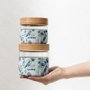 QUOKKA Recipiente de Cristal para Comida 820 ml con Funda, Deli Blue Nature