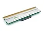 Zebra P1112750-013 Cabeza de Impresora 300 dpi para ZE521
