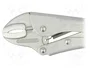Knipex Alicates de sujeción 250mm